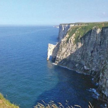 Weir Country Park, Стамфорд Бридж — фото 3