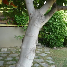 Le Biscantou 25, Le Sauze-du-Lac — photo 3