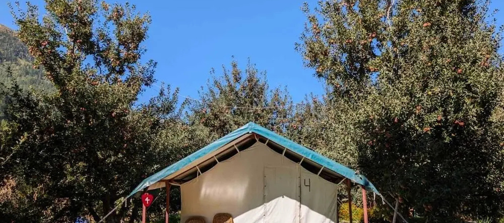 Apple Orchard Farm and Camping, 塞林切 — 照片 1