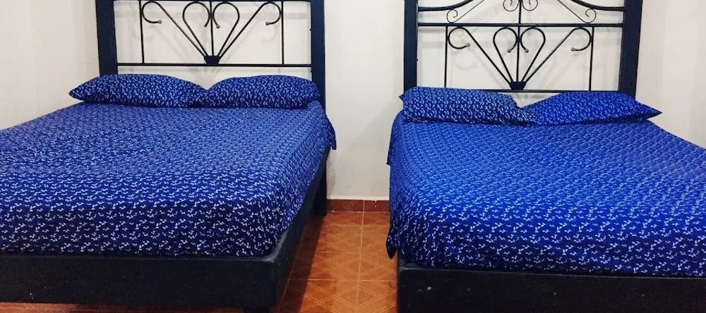 Hostal y Camping Villa Mercedes, 蒂西明 — 照片 1