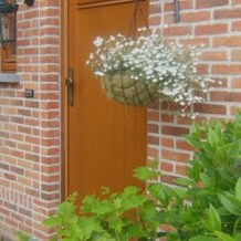 B&B De Koperen Pomp, Бракель — фото 4