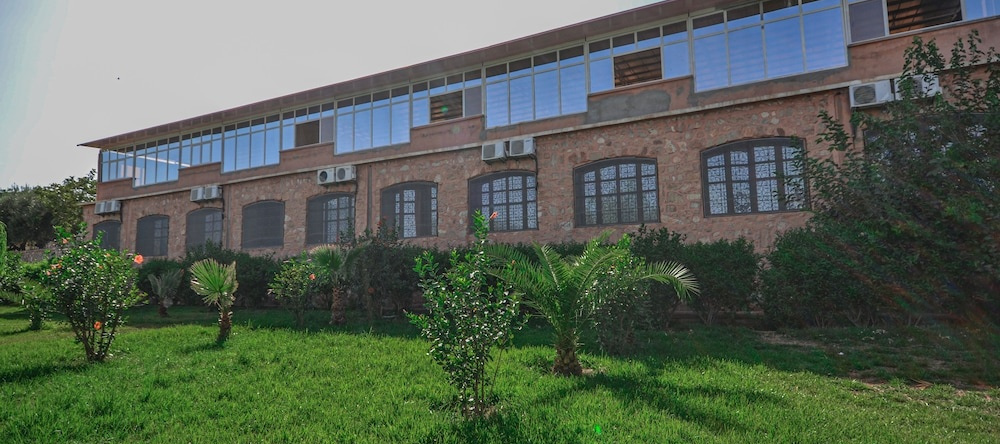 L'Oliveraie D'amizmiz, Amizmiz — photo 1