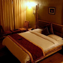 The Heritage Resort, 巴盖什瓦尔 — 照片 3