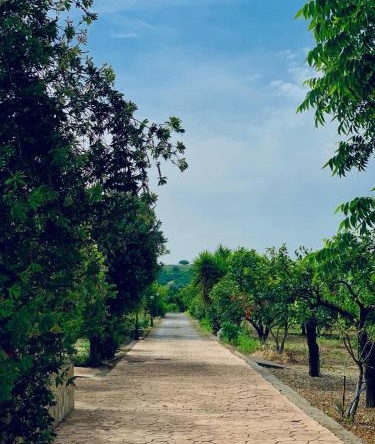 Giardino delle Zagare, 卡拉塔比亚诺 — 照片 1