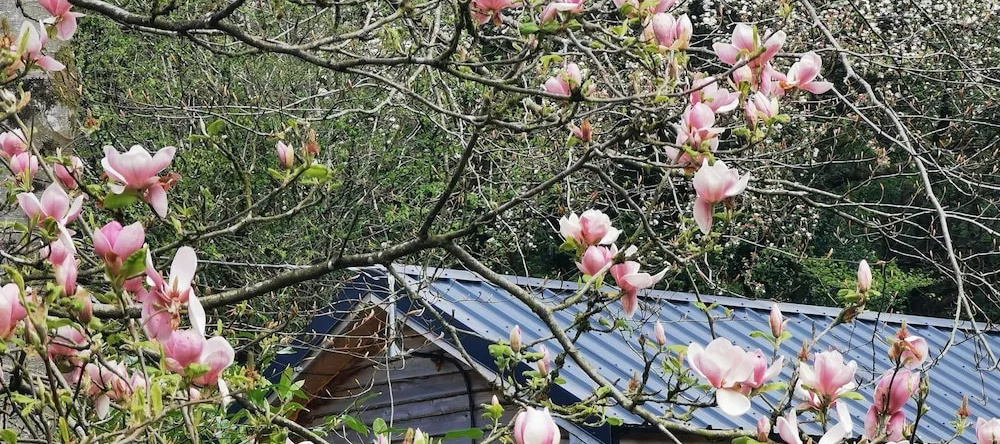 Countryside Cottage Retreat at Ty'r Cwm Farm, 阿曼福德 — 照片 1