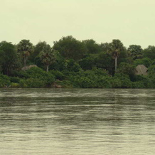 Selous Wilderness Camp, Млока — фото 4