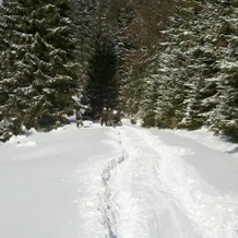 La Caramidari, Nehoiasu — photo 4