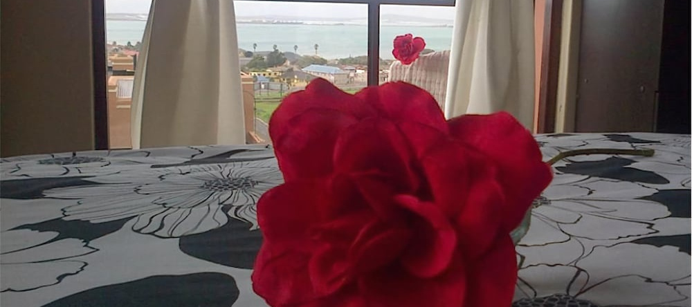 Saldanha Bay Vintour, 萨尔达尼亚 — 照片 1