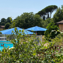 Les Hauts du Coustalier, Doissat — photo 4