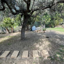 B&B La Palma, 佩塔恰托 — 照片 5