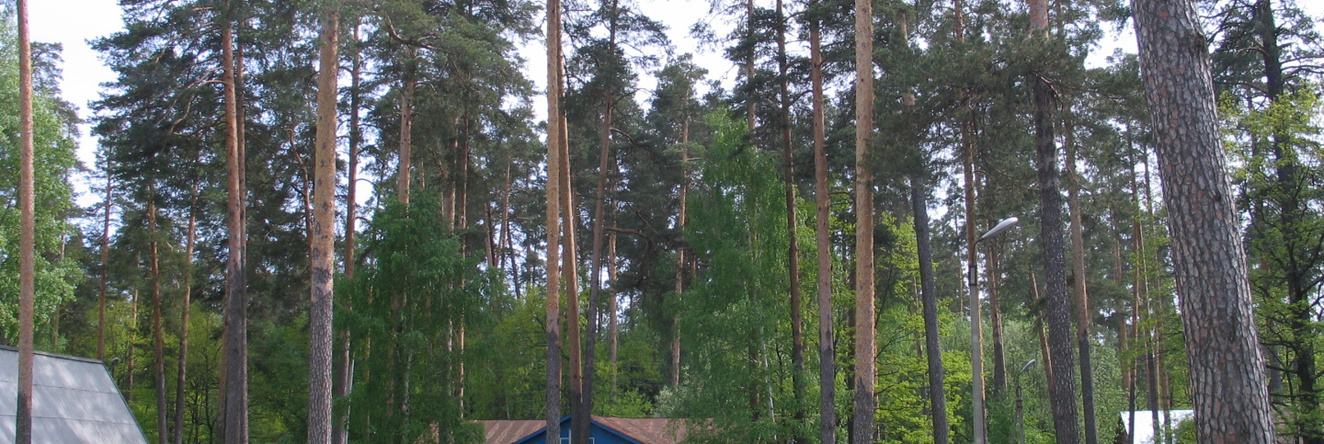 Pribrezhniy Recreation camp, Beloe Ozero — photo 1