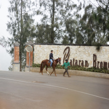 Plataran Bromo, Pasuruan — photo 5