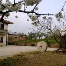 B&B La Pace Tra Gli Olivi, 蒙巴罗乔 — 照片 4