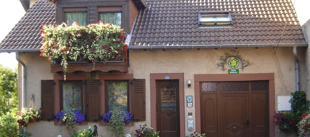 Gite With Views of the Vosges Mountains, Haselbourg — photo 1