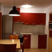 Apartment Markič, 博希尼镇 — 照片 3