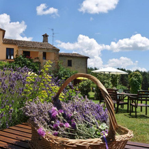 Agriturismo Monterosello, Citta di Castello — photo 5