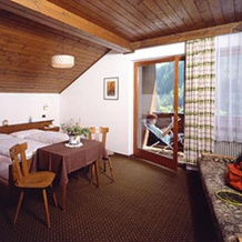 Hotel Bad Bergfall, Вальдаора — фото 2