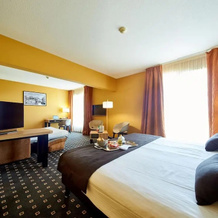 Hôtel HOLIDAY INN STRASBOURG ILLKIRCH, 伊尔基希-格拉芬斯塔登 — 照片 2