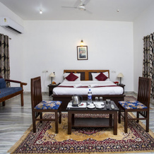 Narayan Niwas Resort, Udaipur — photo 3