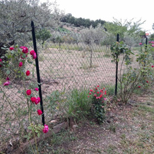 Masseria del Ponte, 普雷托罗 — 照片 4