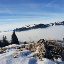 Moderne FeWo im Allgäu mit Spülmaschine, Weitnau — photo 4