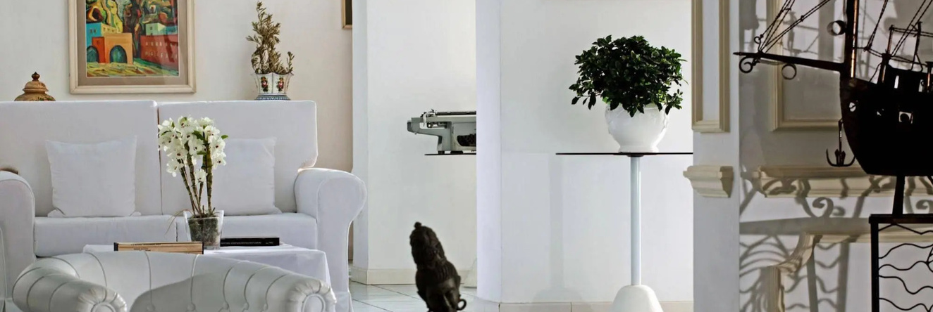 Hotel & Spa Bellavista Francischiello, 普奥洛 — 照片 1