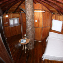 The Tree House, Гинигатена — фото 5