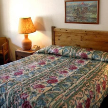 Cambridge Inn Motor Lodge, Колинга — фото 3