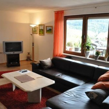 Ferienwohnung Blick in den Wasgau, 菲施巴赫-丹 — 照片 5