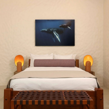 Corcovado Wilderness Lodge by SCP, 德雷克湾 — 照片 5