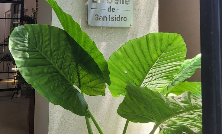 La Belle San Isidro Lofts, 贝卡尔 — 照片 1