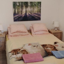 Siesta Üdülő, 伊加尔 — 照片 2