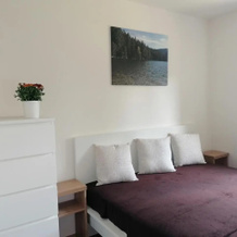 Čertova chata - apartmán Čerťák, 热莱兹纳鲁达 — 照片 3