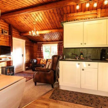 Cozy Mountain 2 Bed Log Cabin, Бронабер — фото 3