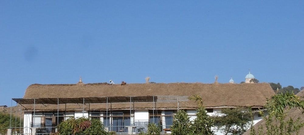 Mayleko Lodge, Gondar — photo 1
