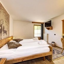 Hotel Apartments Wellness Villa di Bosco, 泰泽 — 照片 5