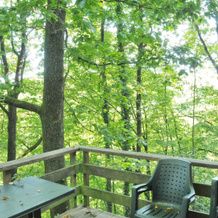 Nicely Furnished Bungalow with Fireplace near Maas, Assesse — photo 4