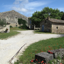 Ferme Le Grand Cordy, Grignan — photo 4