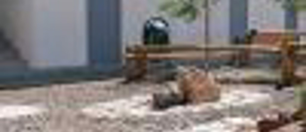 Oasis Eco Hotel, Calama — photo 1