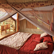 Manyatta Camp, Tsavo — photo 3