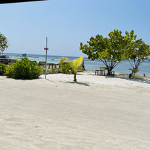 Paradise Retreat, Маафуши (Атолл Каафу) — фото 4
