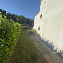 Vila D`arte Vila de Rei, Vila de Rei — photo 3