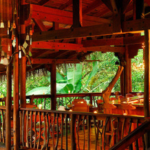 Playa Nicuesa Rainforest Eco Sanctuary, 戈尔菲托 — 照片 3
