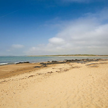 Sandy Toes, 兰法埃洛格 — 照片 2