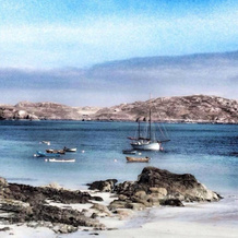 Lovely 1-bed Cottage in Isle of Mull, 马尔岛 — 照片 5