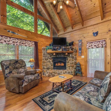 Bear Secrets, Гатлинберг — фото 4