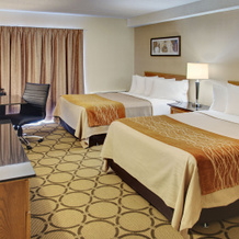 Comfort Inn Dryden, 德赖登 — 照片 3