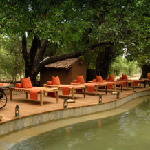 Mahua Kothi, Bandhavgarh National Park, Панпата — фото 5