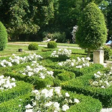 Domaine de la Freynelle, Espiet — photo 4