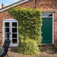 St Johns House Lichfield, 利奇菲尔德 — 照片 3